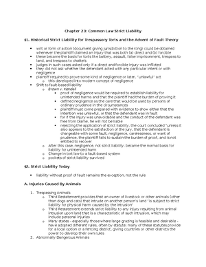 Negligence Flow - Torts 1L class outline flow chart style - N e g l i g ...