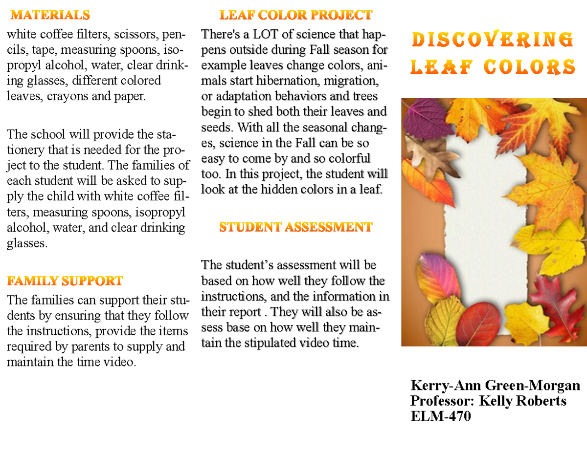 kerry-ann-green-elm-470-cross-curricular-project-brochure-kerry-ann