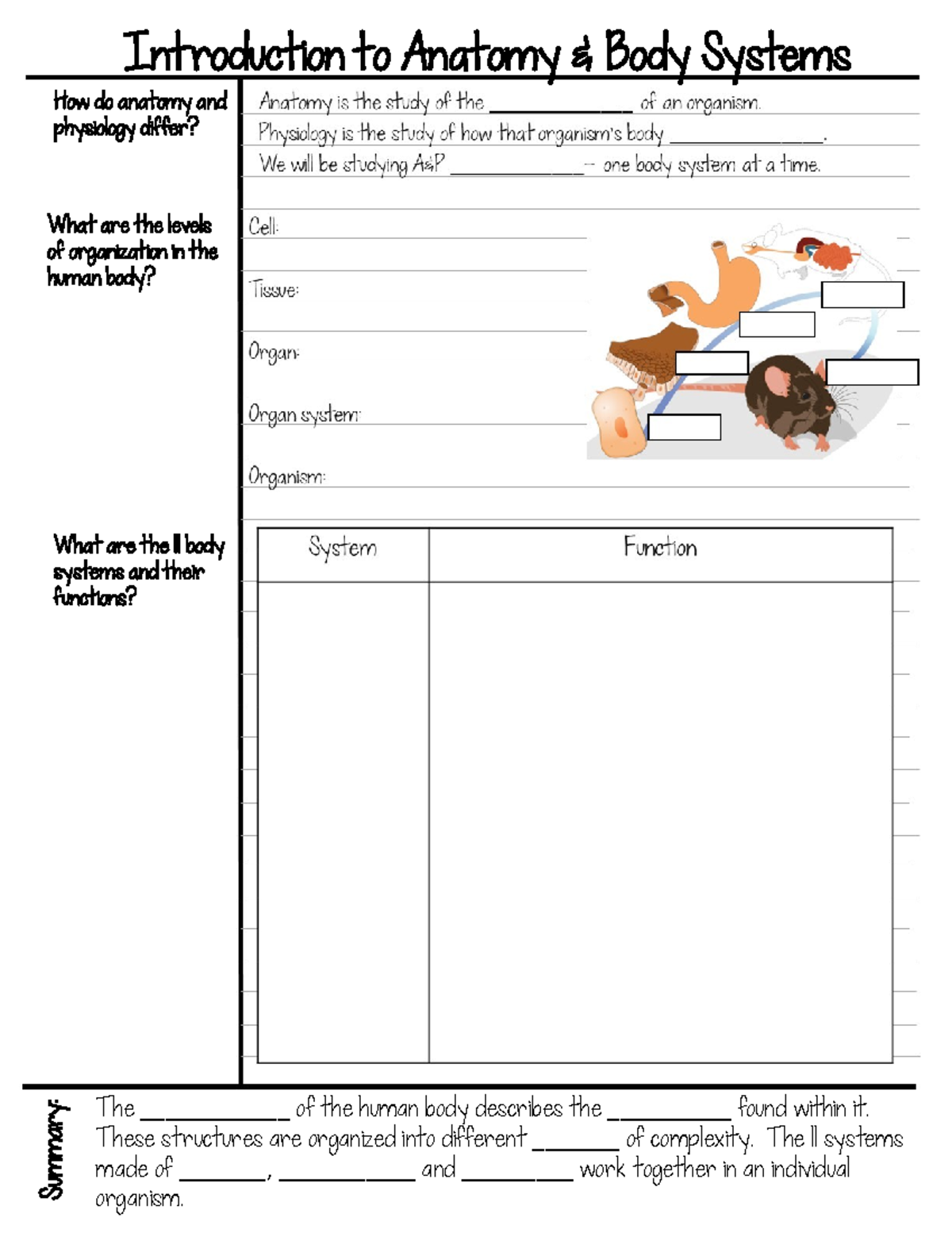 Intro to Biology Guided Notes - ! ͅ ͅ ͅ ͅ ͅ ͅ ͅ ͅ ͅ ͅ ͅ ͅ - Studocu