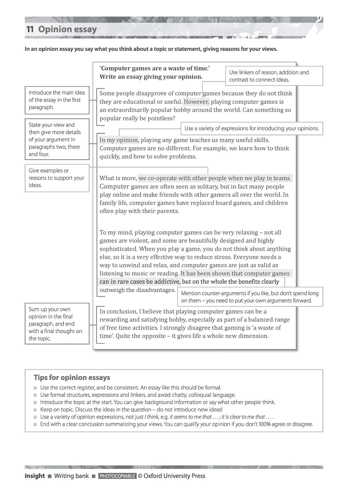 opinion essay computer games