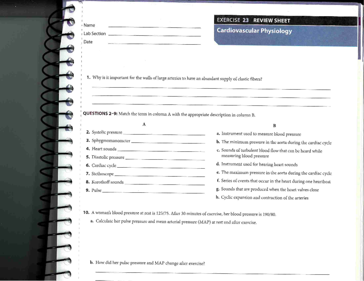 Ex 23 - lrgerklgj;rkgj;rtlwf;elr - EXERCISE 23 REVIEW SHEET Name Lab ...