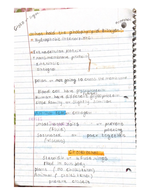Ch 16 study guide - chapter 16 notes - Ch. 16 - Prokaryotes: collective ...