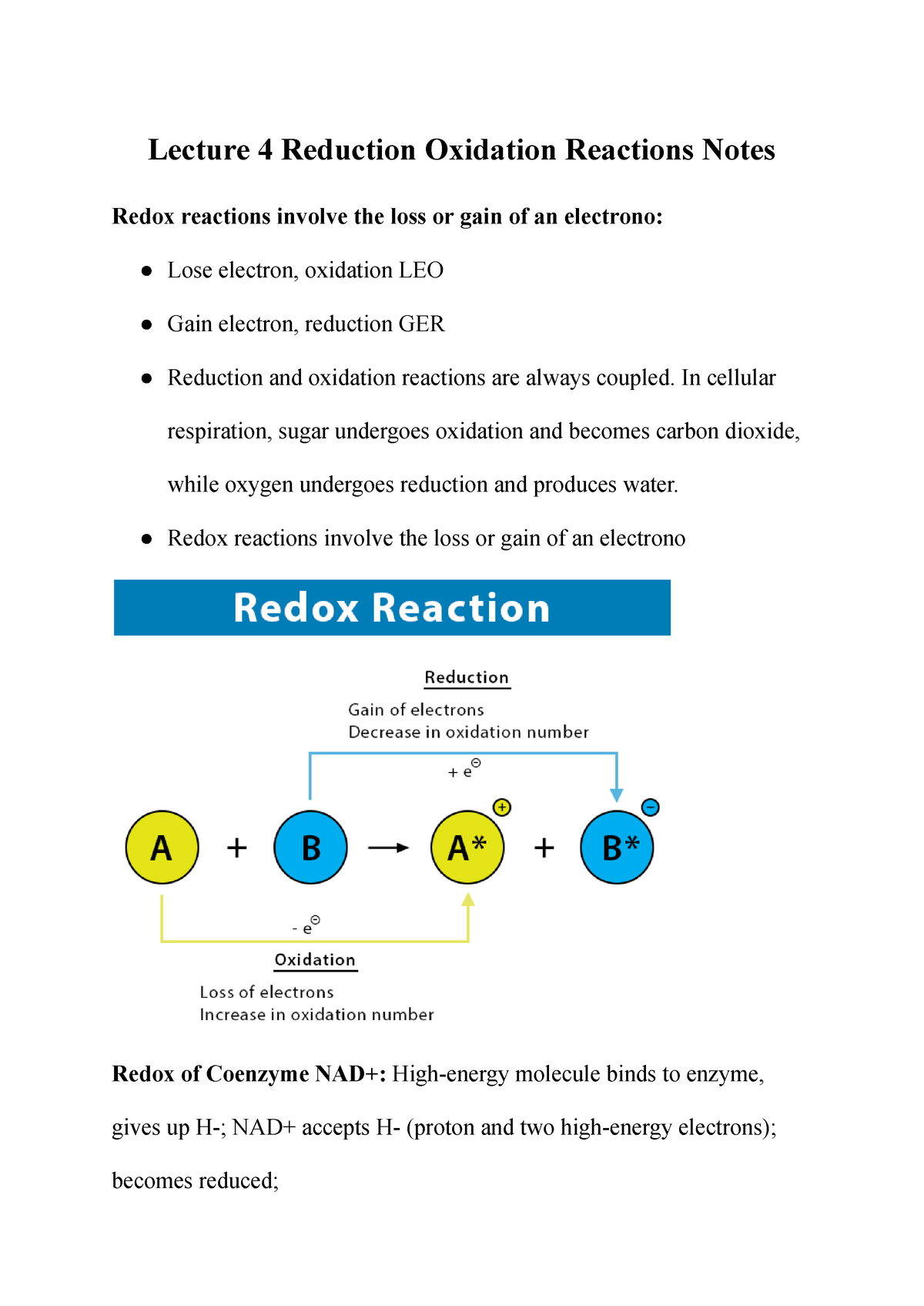 Lecture 4 Reduction Oxidation Reactions Notes In Cellular Respiration Sugar Undergoes 4332