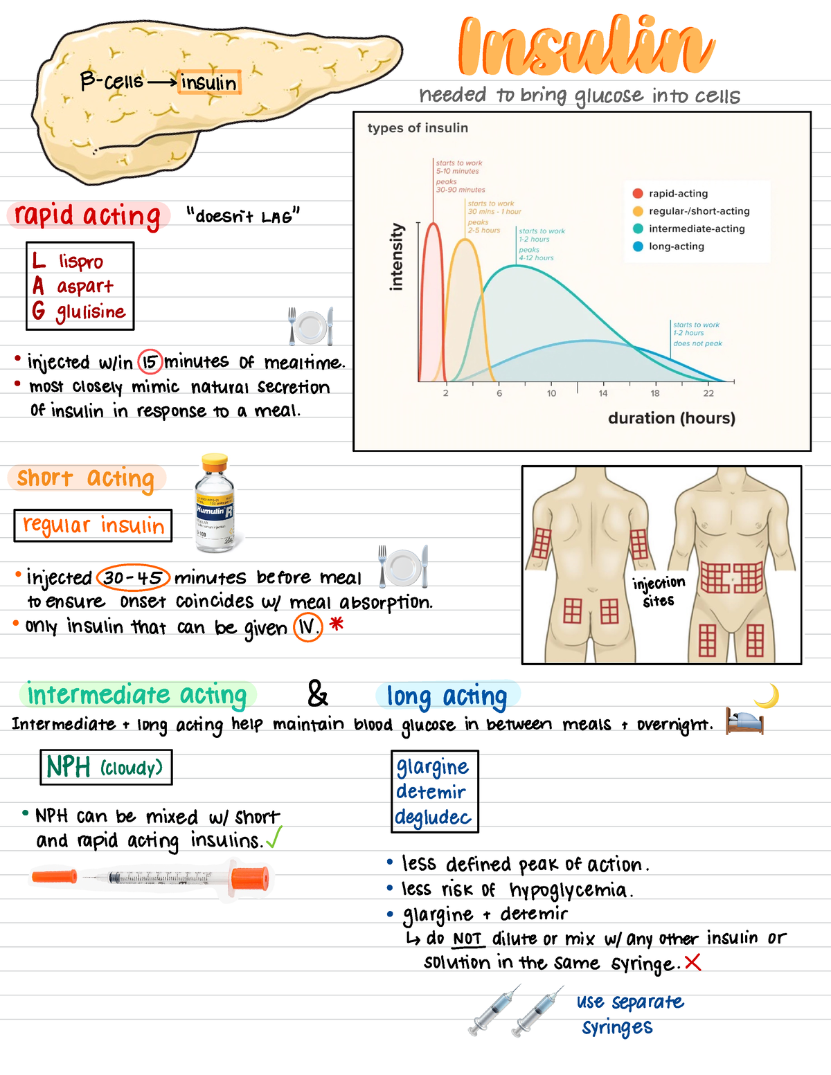 Insulin - will healkp - Clinical Chemistry - Studocu