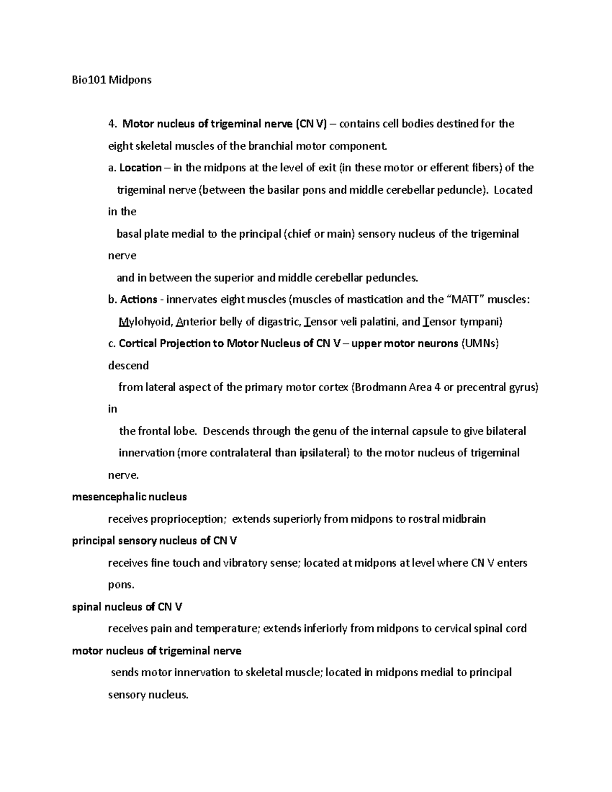 Bio101 Midpons - Bio101 Midpons Motor nucleus of trigeminal nerve (CN V ...