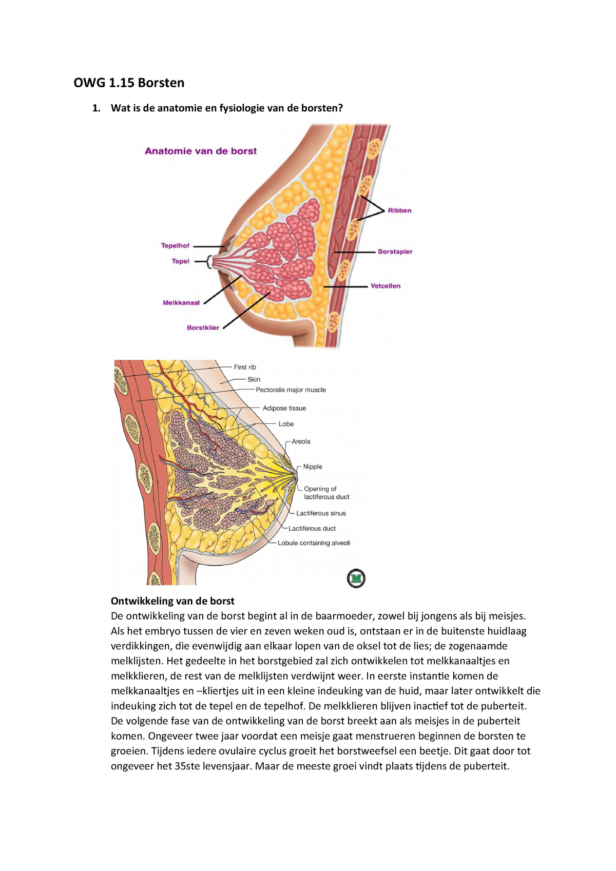 Owg 1 15 Borsten Samenvatting Borstontwikkeling En Borstvoeding Met Hormoonregulatie Studeersnel