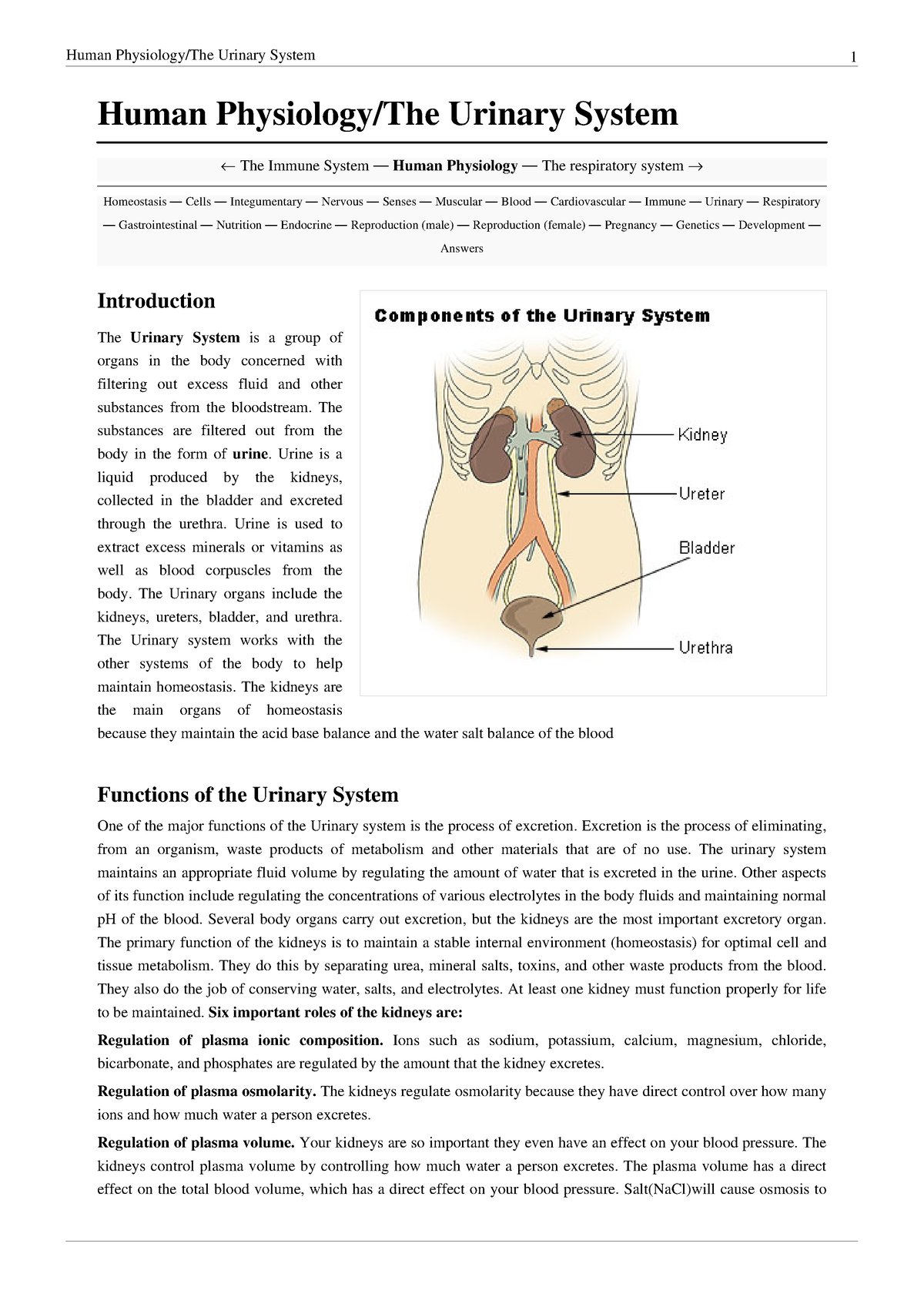 short speech on urinary system