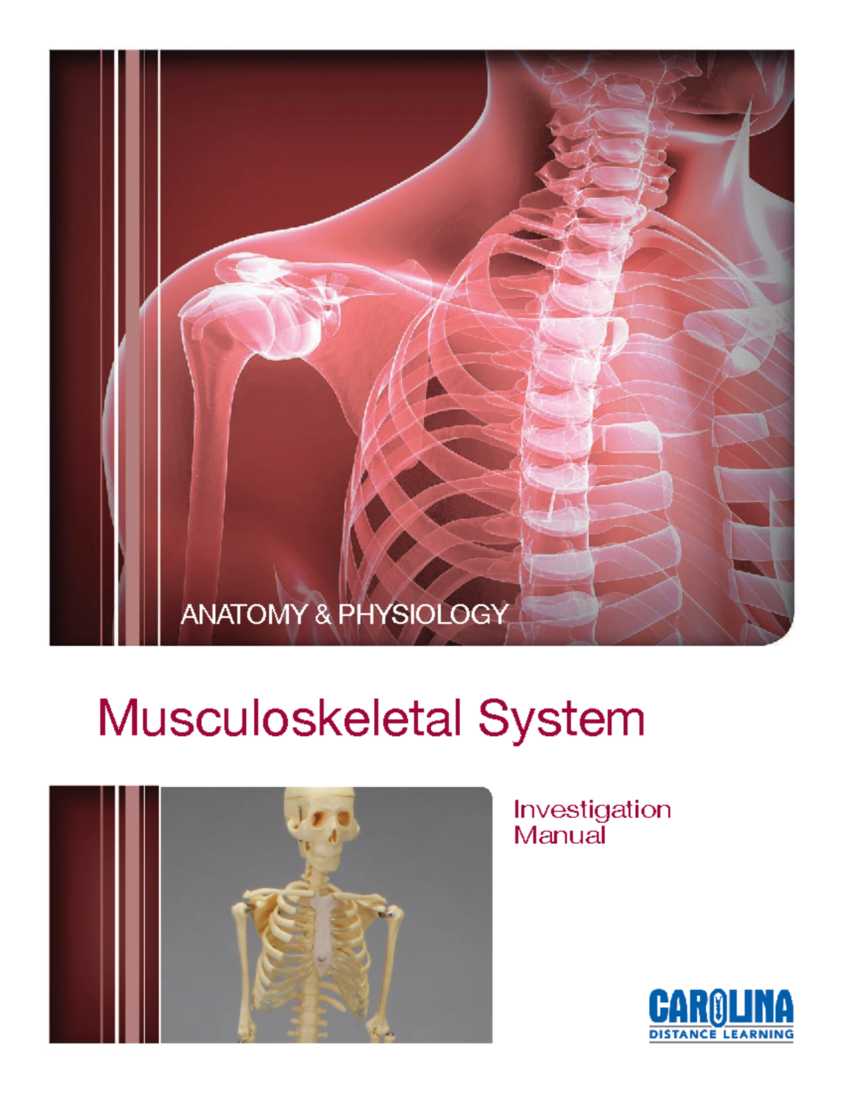 A&P 1 Musculoskeletal System Lab Manual-1-1 - ANATOMY & PHYSIOLOGY ...