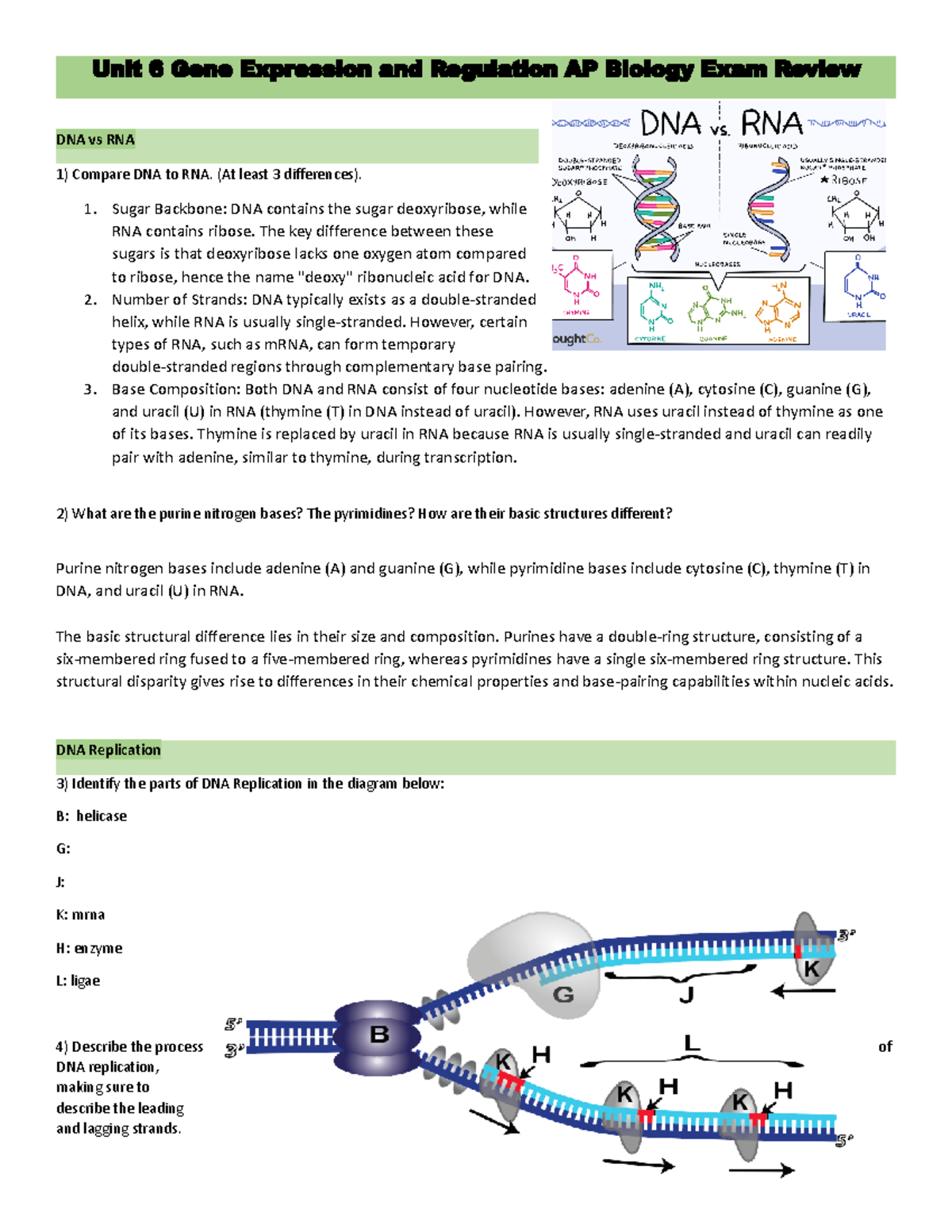 Unit 6 Gene Expression And Regulation AP Bio Exam Review - Unit 6 Gene ...