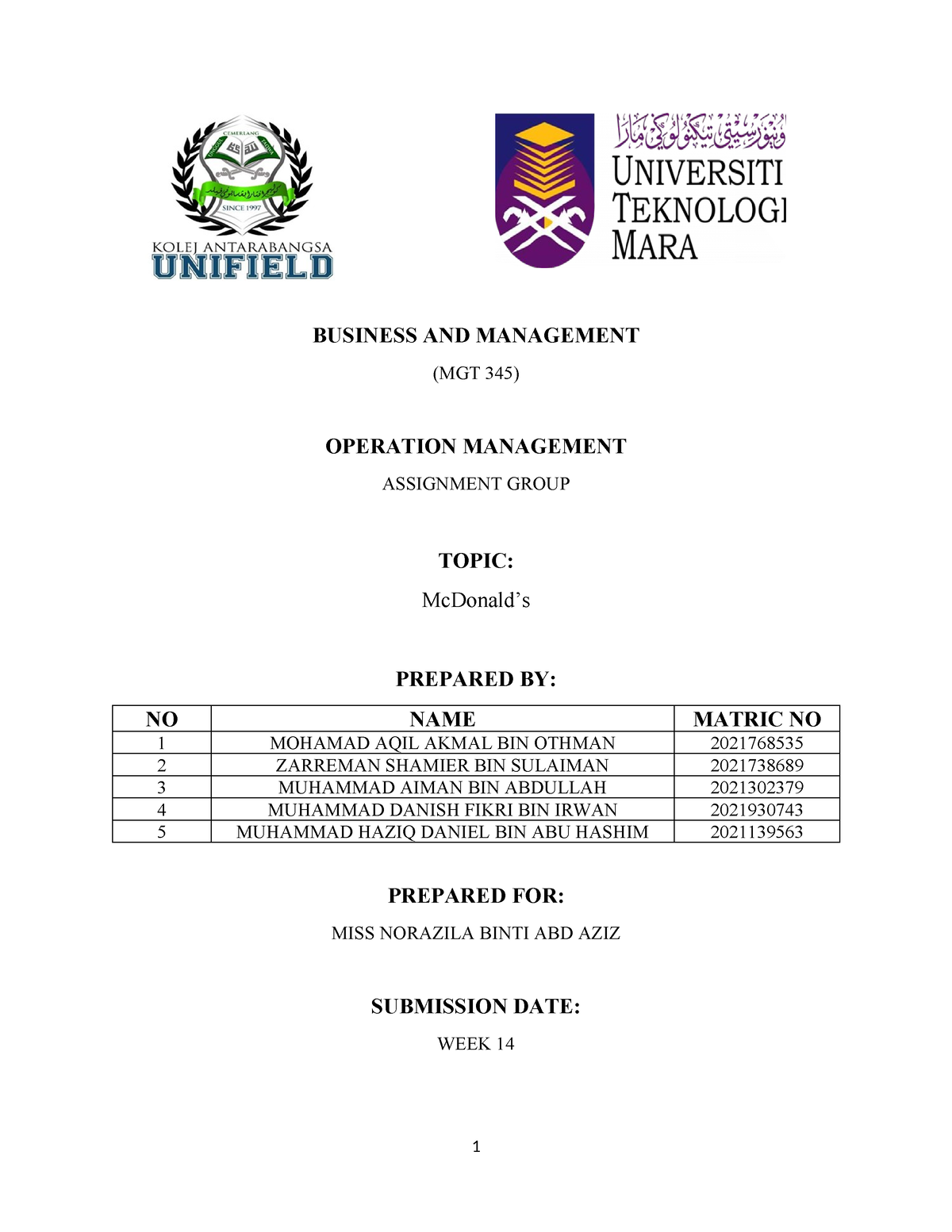 mgt345 group assignment report