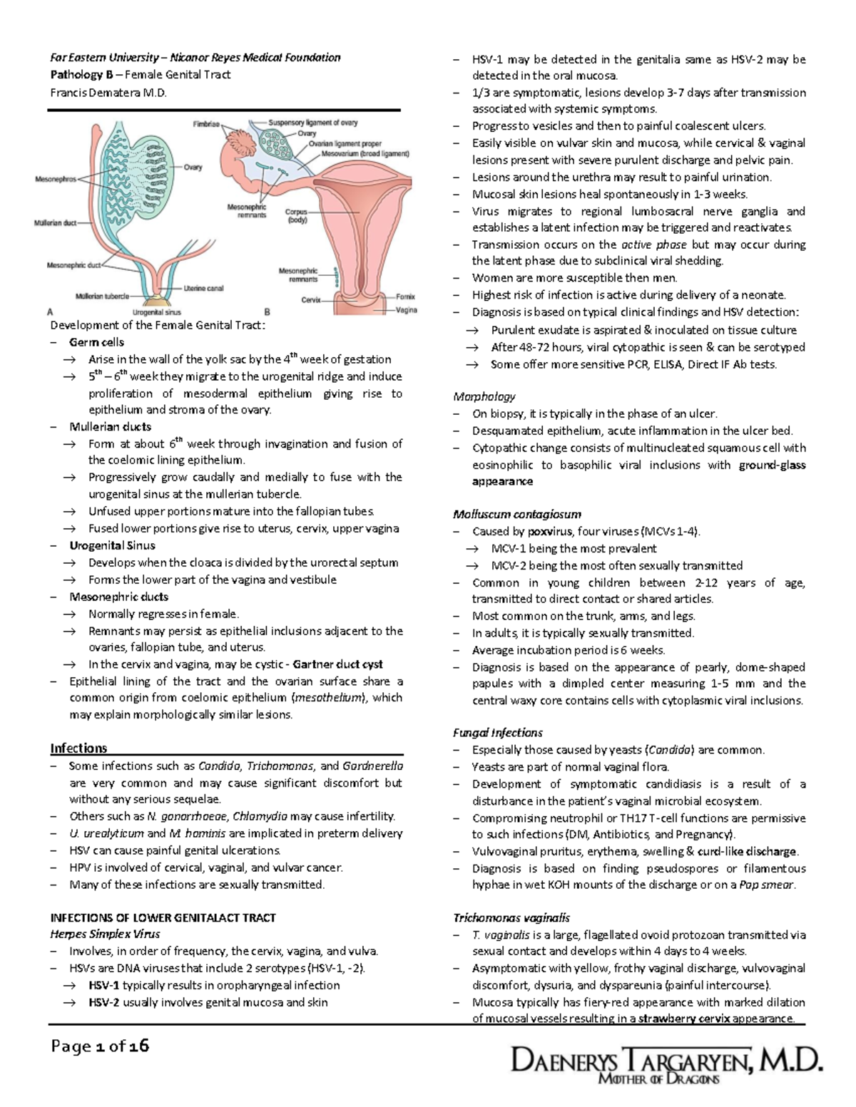 Pathology B Female Genital Tract (Dematera) - Far Eastern University ...