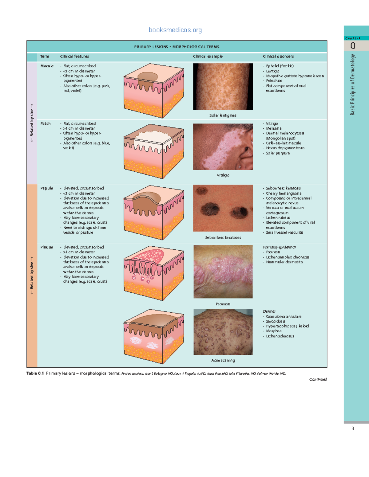 Lesiones - 0 C H A P T E R ####### 3 Basic Principles of D ermatology ...