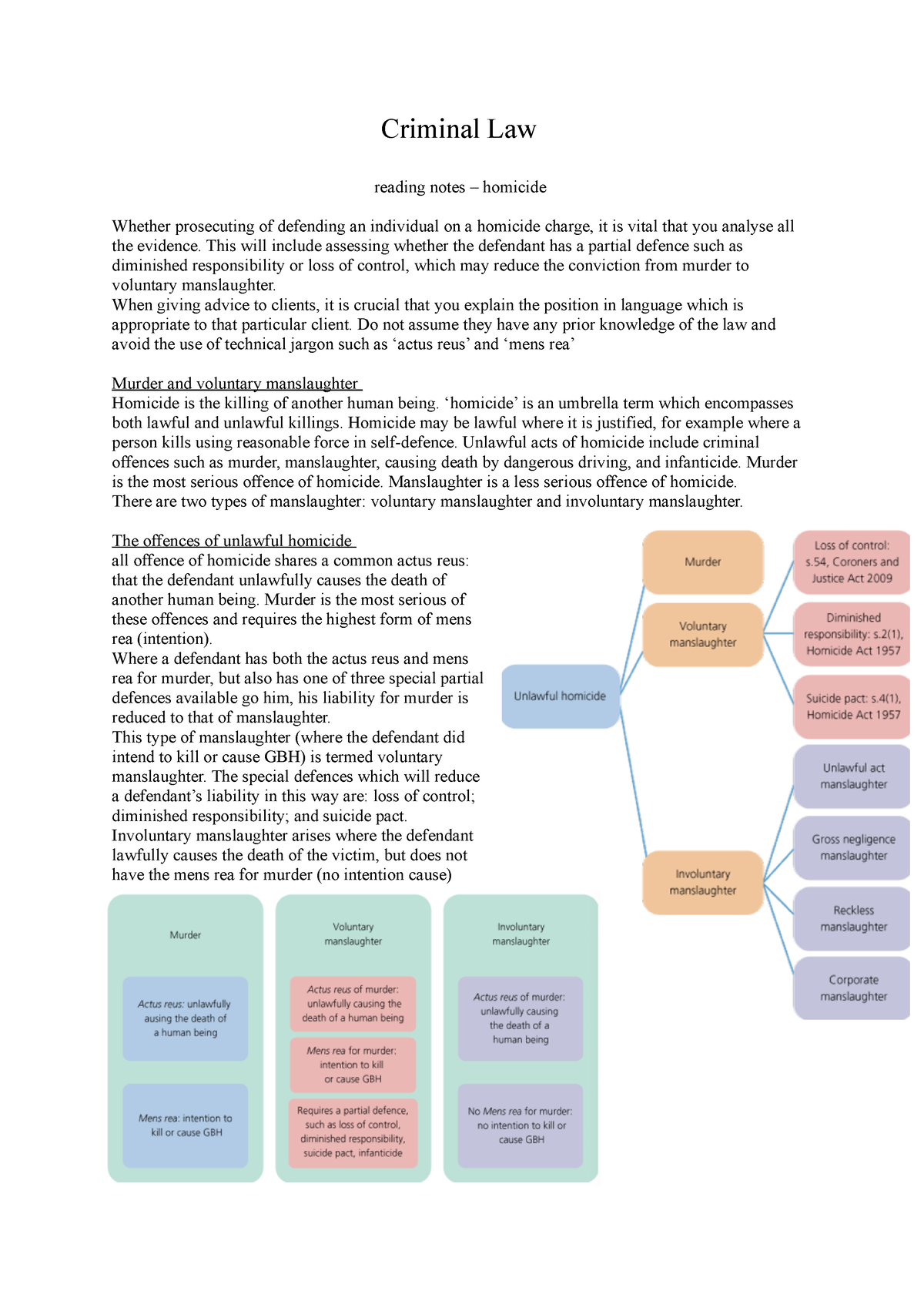 criminal law homicide essay