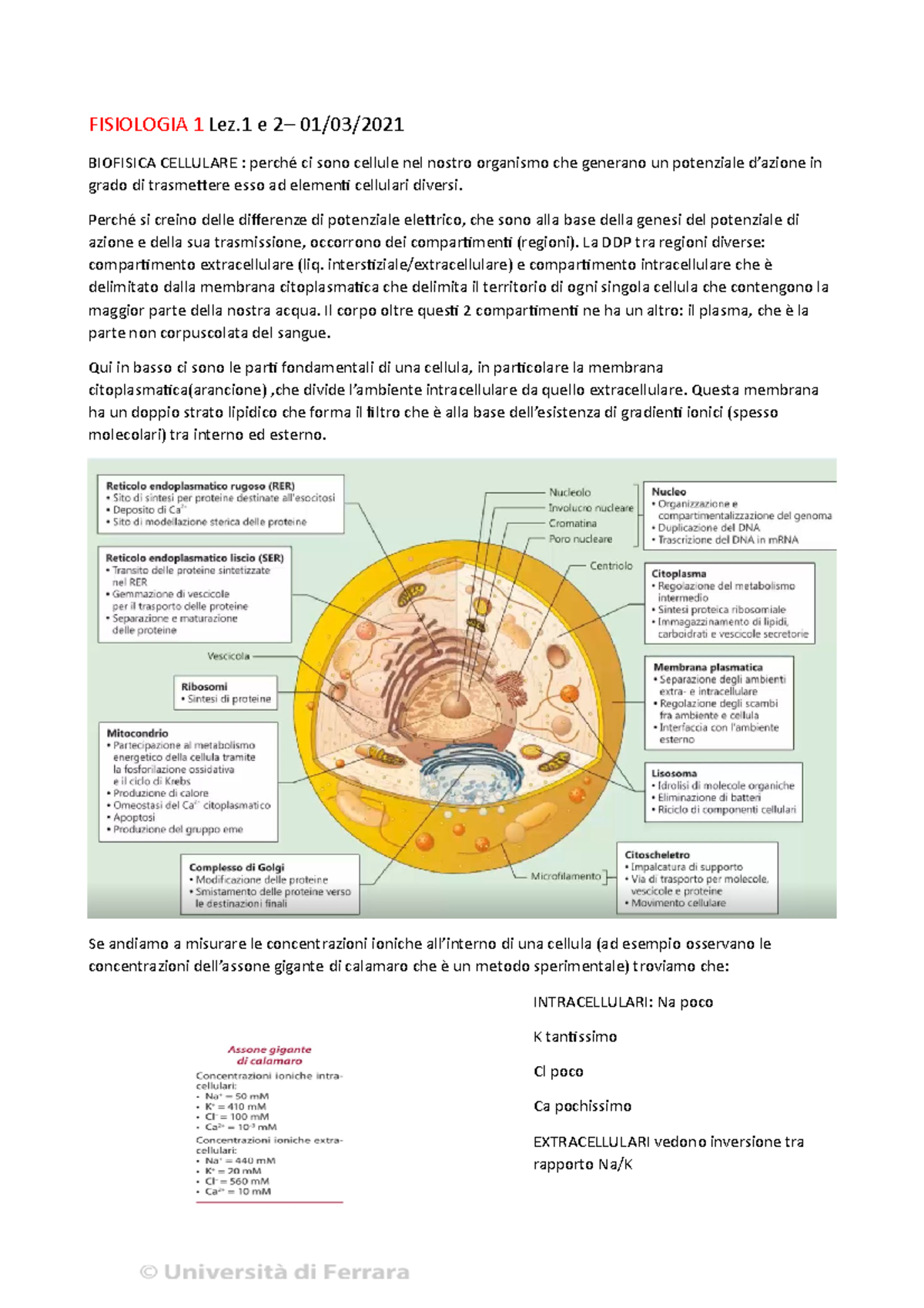 Fisiologia Generale Uno - FISIOLOGIA 1 Lez E 2– 01/03/ BIOFISICA ...