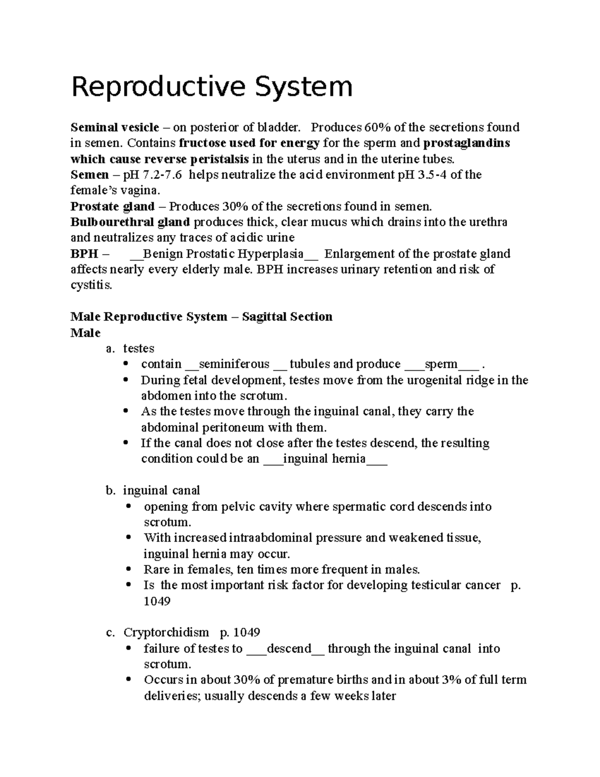 Reproductive notes - Reproductive System Seminal vesicle – on posterior ...