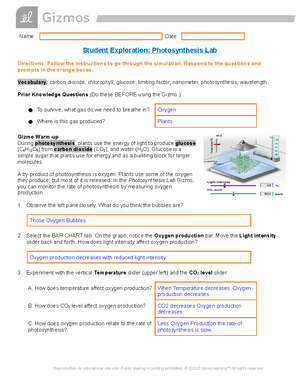 Copy of 2 04 Lab Report Template-v23 - 2 Cell Transport Lab Report ...