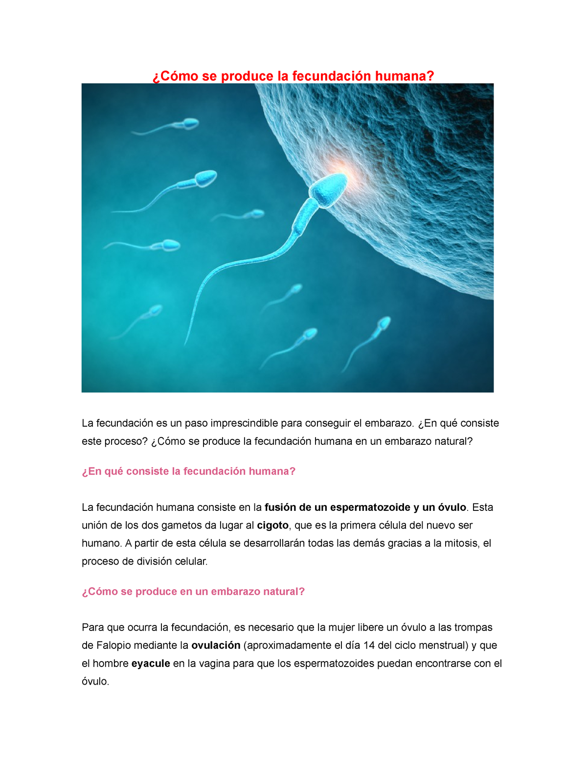 Cómo Se Produce La Fecundación Humana ¿cómo Se Produce La Fecundación Humana La Fecundación 6542