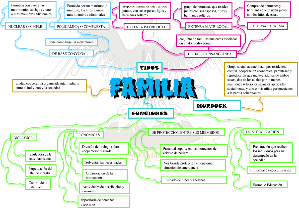 Familia ( Mapa Mental) - FAMILIA FAMILIA unidad cooperativa organizada  intermediaria entre el - Studocu