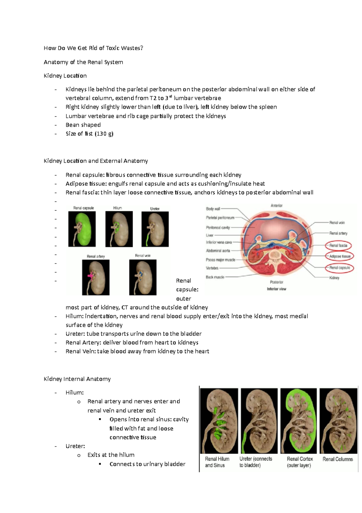 How Do We Get Rid of Toxic Wastes How Do We Get Rid of Toxic Wastes