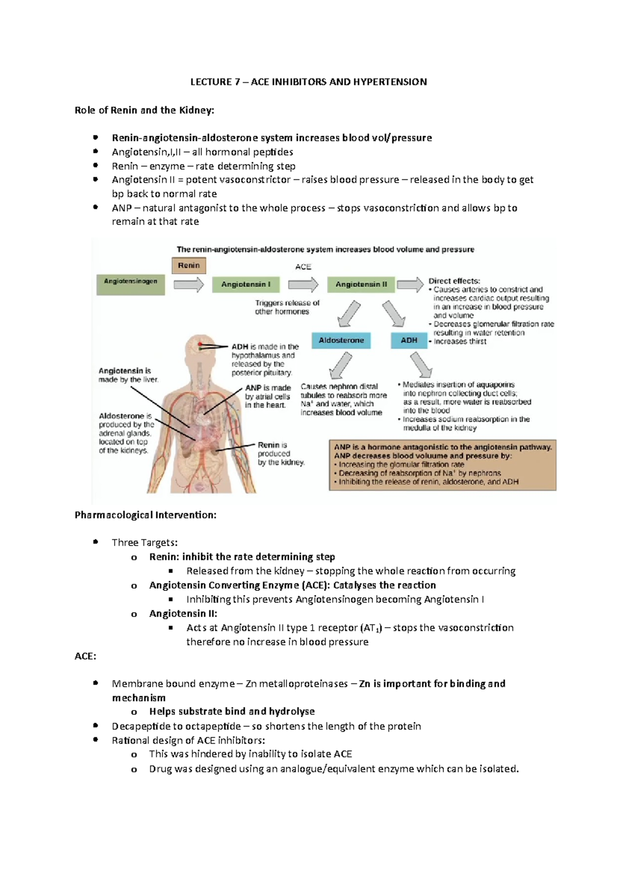 Lecture 7: ACE inhibitors and hypertension - LECTURE 7 – ACE INHIBITORS ...