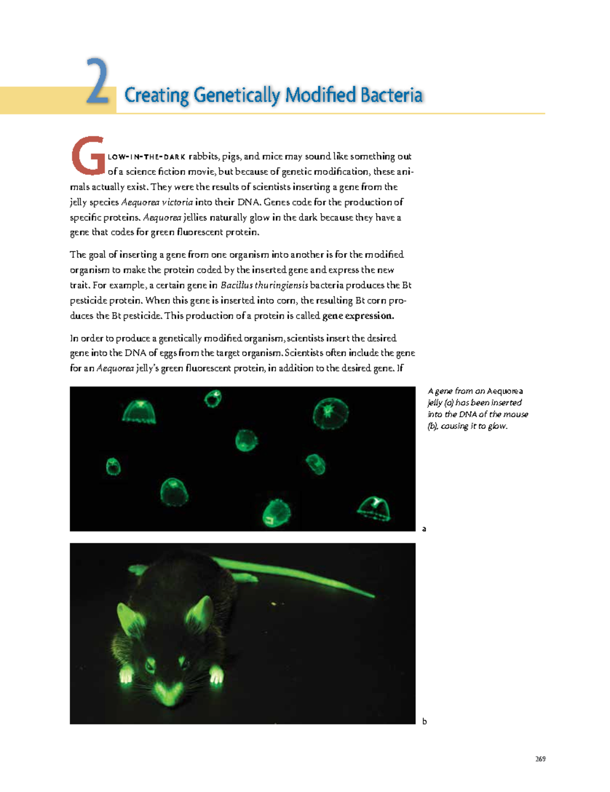 activity-2-answers-key-2-creating-genetically-modified-bacteria-a