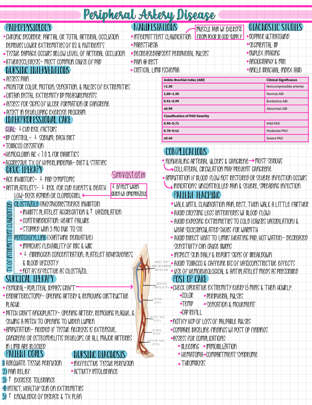 PAD Nursing school notes PAD Pathophysiology CHRONIC