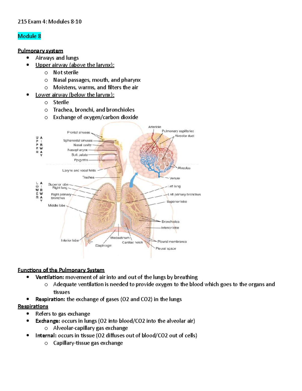 215 Exam 4 - 215 Exam 4 - 215 Exam 4: Modules 8- Module 8 Pulmonary ...