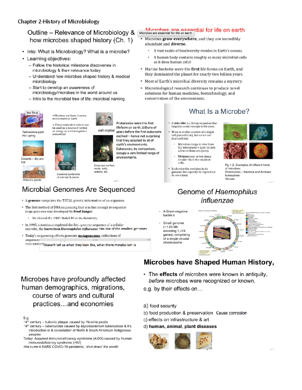 Chapter 2 - Lecture Notes 3 - Micr2420 - Chapter 2-History Of ...