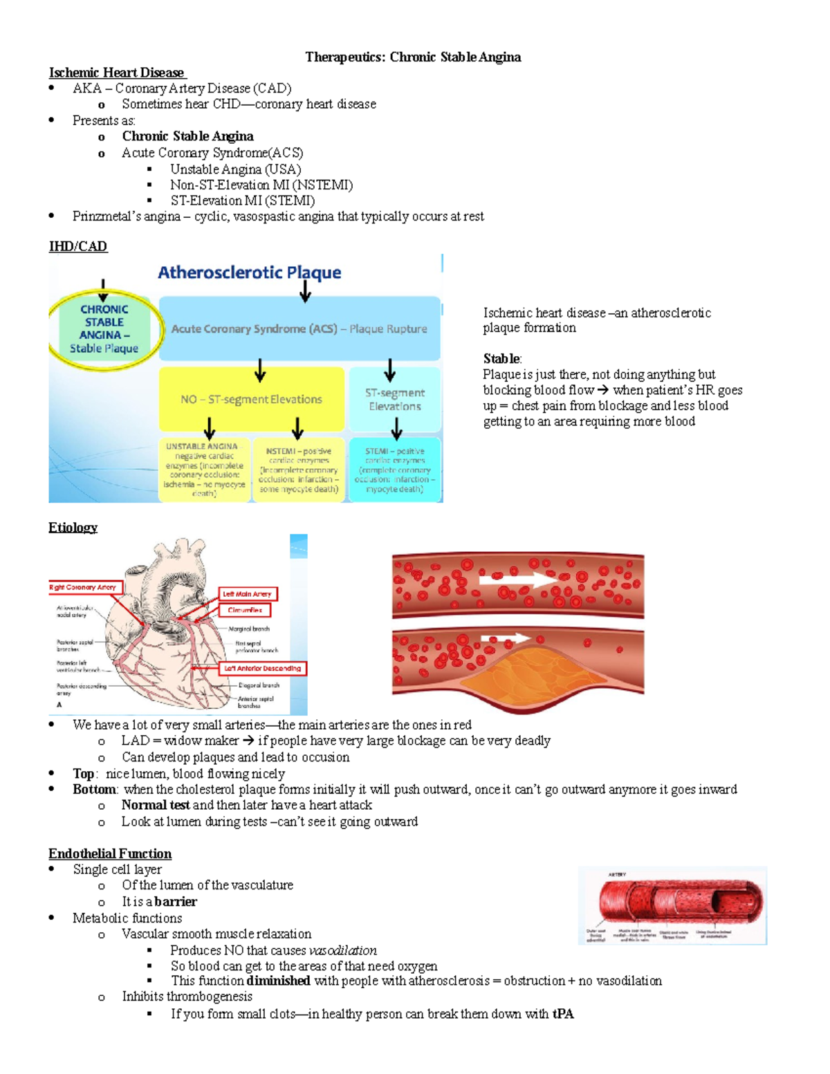 CAD - Coronary Artery Disease Lecture - Therapeutics: Chronic Stable ...