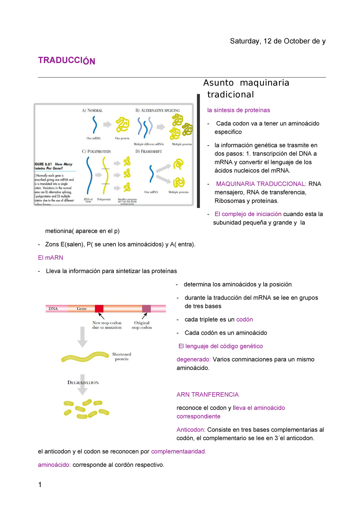 Traduccion Biologia Celular Studocu