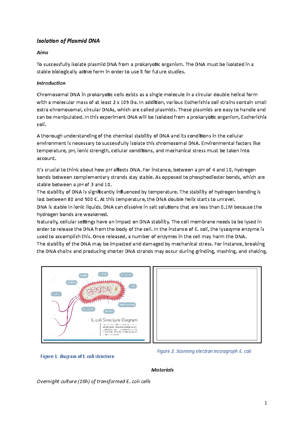 BI319 Lab - Isolation of Plasmid DNA Aims To successfully isolate ...