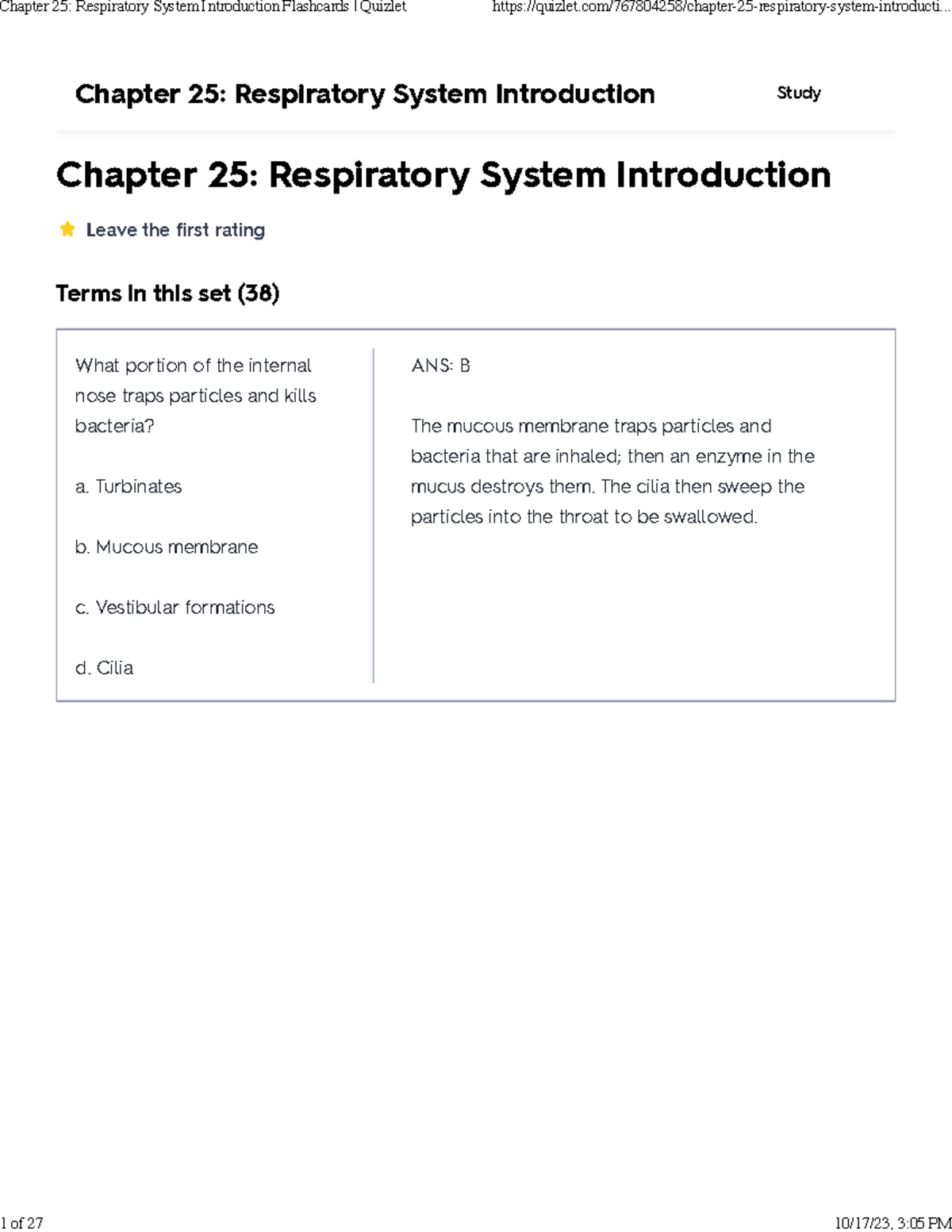 Quizlet Respiratory System - msttqpq