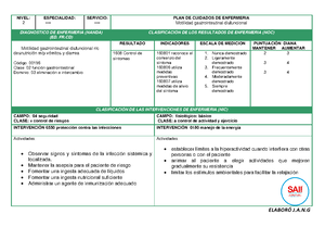 Diagnóstico Insomnio NIC - DIAGNÓSTICO: Insomnio PLAN DE CUIDADOS DE ...