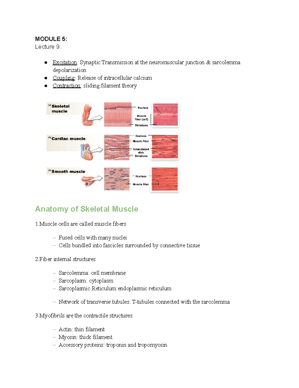 BIO 2 study sheet notes - MODULE 5: Lecture 9: Excitation: Synaptic ...