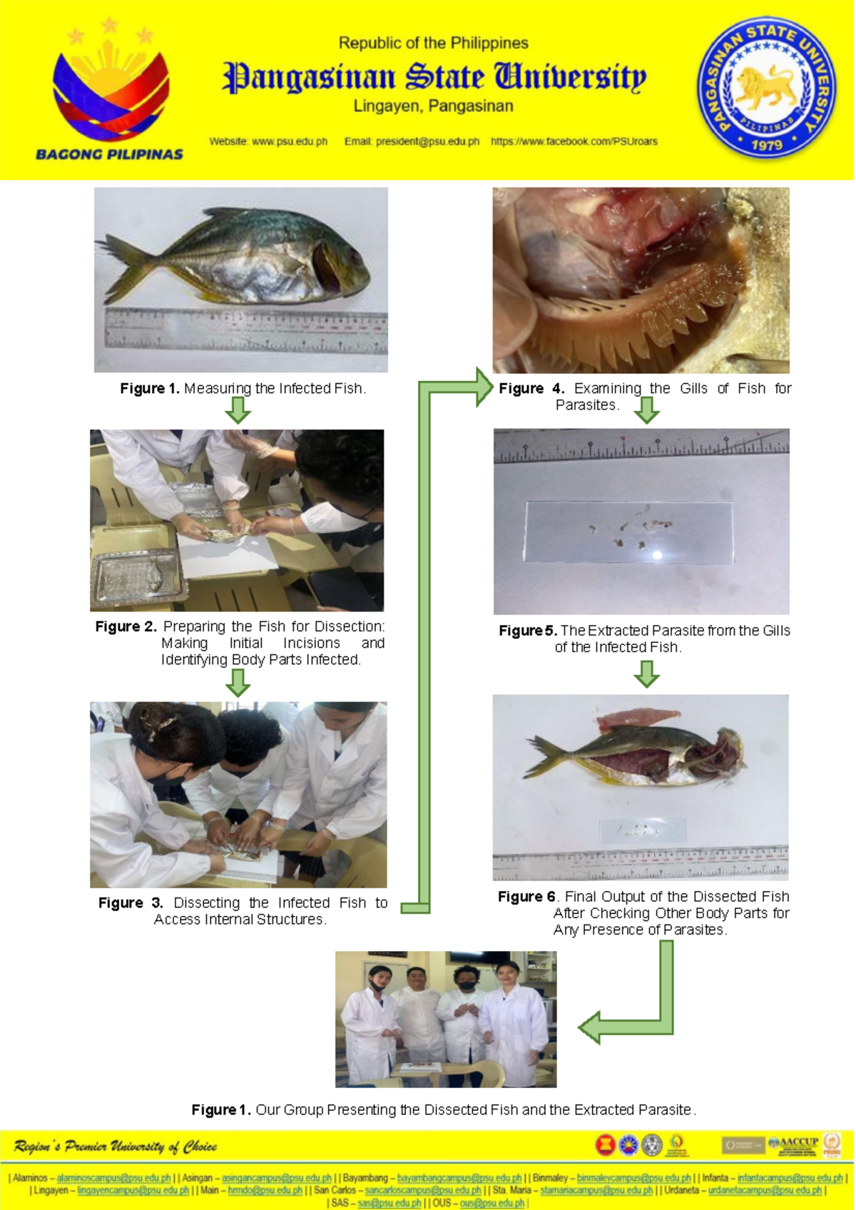 Figures-lab-2 - rEAD - Figure 1. Measuring the Infected Fish. Figure 2 ...