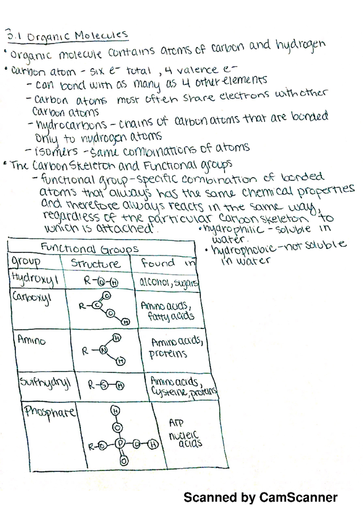 BIO 1030 chapter 3 - Lecture notes 4 - BIO 1030 - Scanned by CamScanner ...