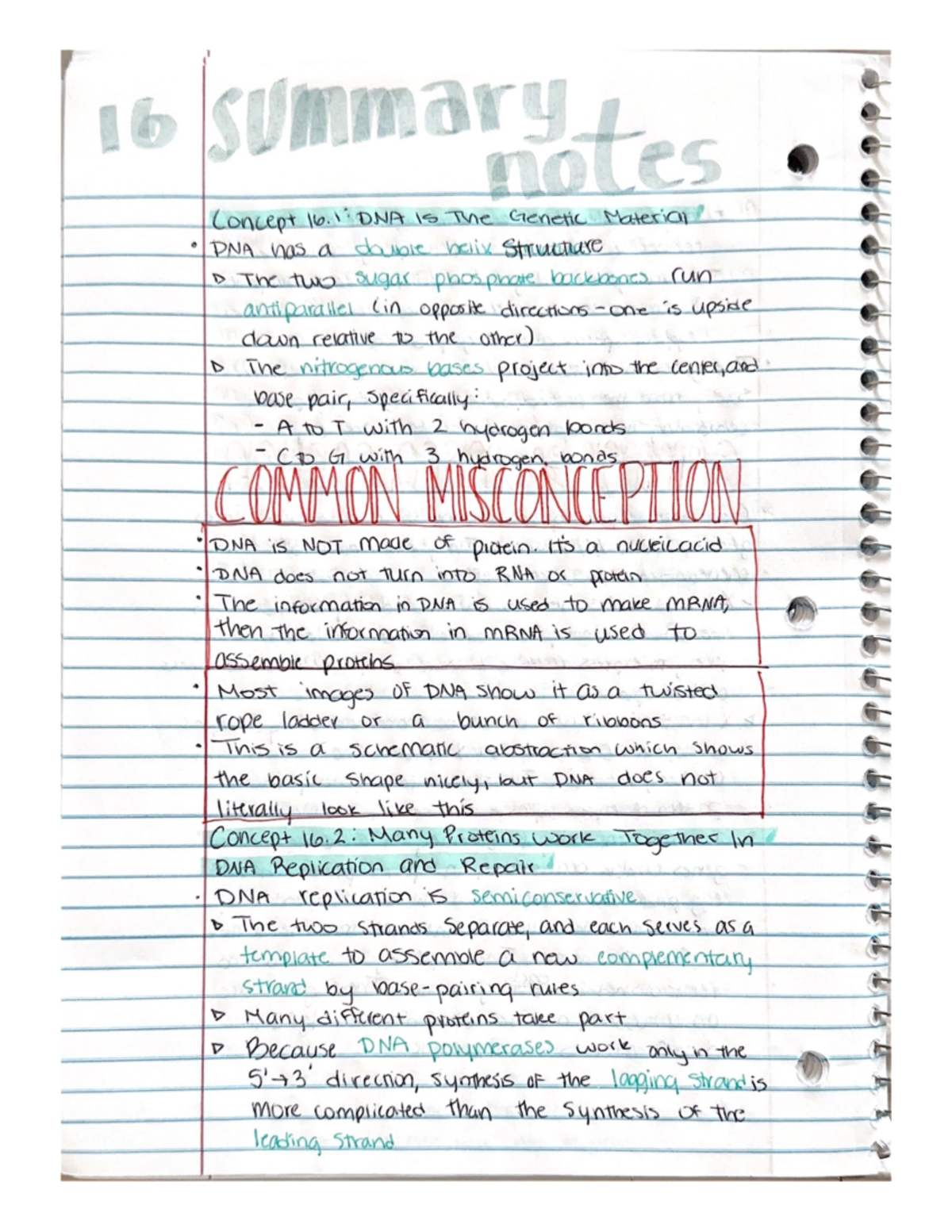 Summary notes 16 - BSC2010 - Studocu
