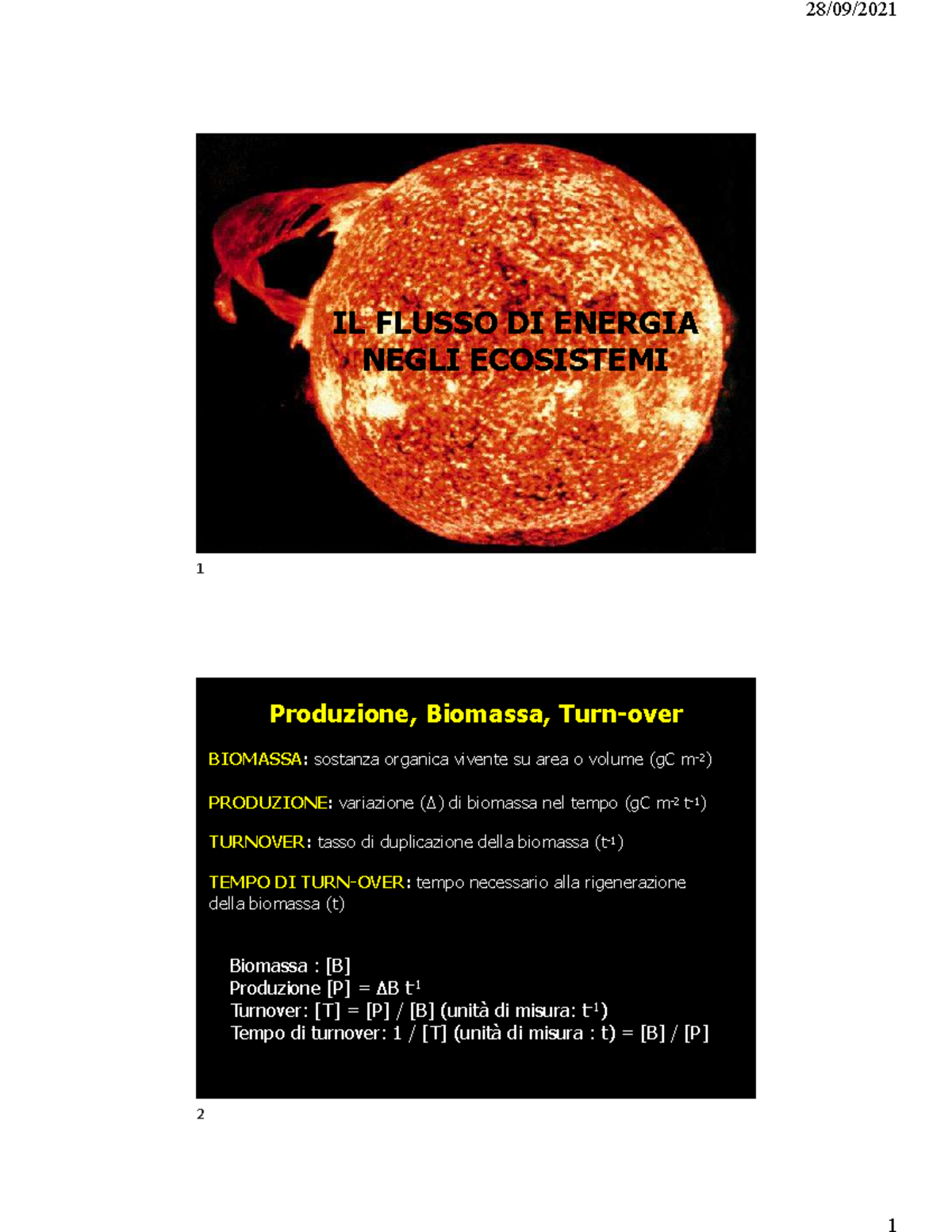 Ecologia 3 - slide - IL FLUSSO DI ENERGIA NEGLI ECOSISTEMI Produzione ...