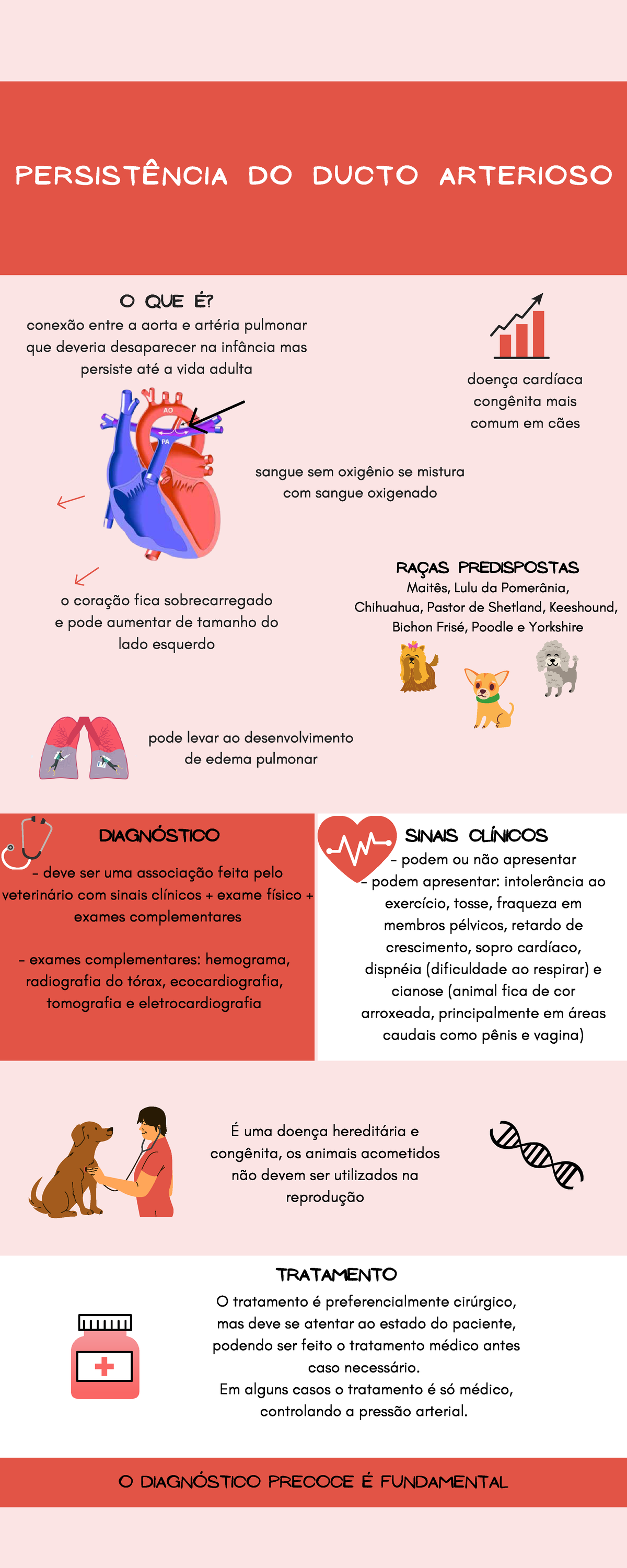 Persistência do Ducto Arterioso - PERSISTÊNCIA DO DUCTO ARTERIOSO podem ...