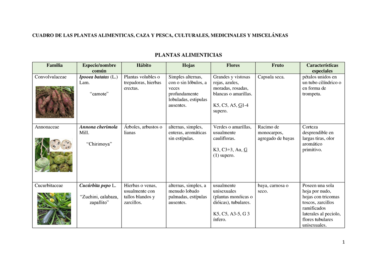 Cuadro Plantas Alimenticias Medicinales Cuadro De Las Plantas Alimenticas Caza Y Pesca 0401