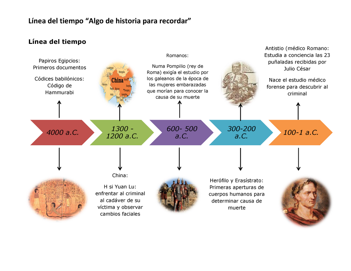 Línea Del Tiempo Forense Del Tiempo De Historia Para Del Tiempo