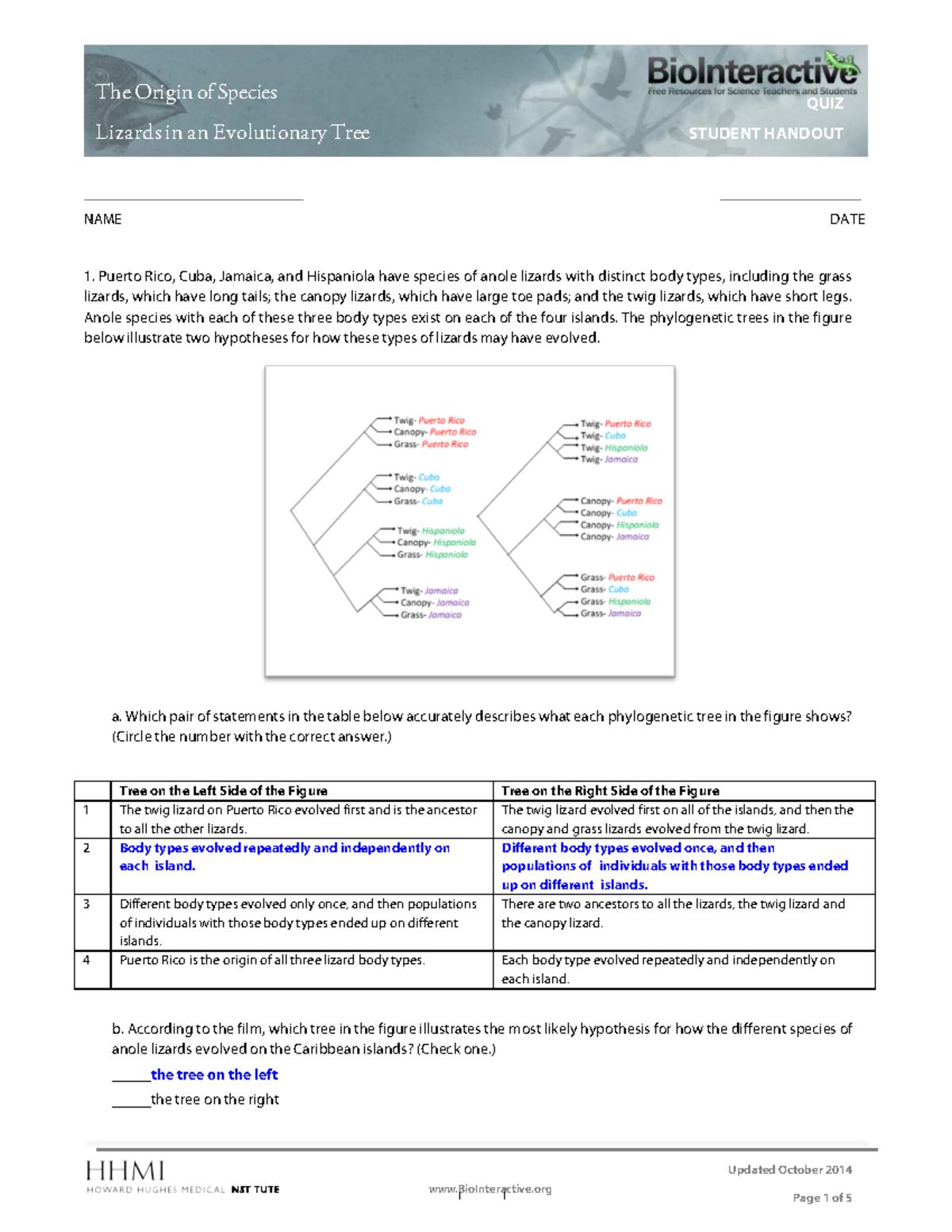 Lizards In An Evolutionary Tree KEY - Lizards In An Evolutionary Tree ...