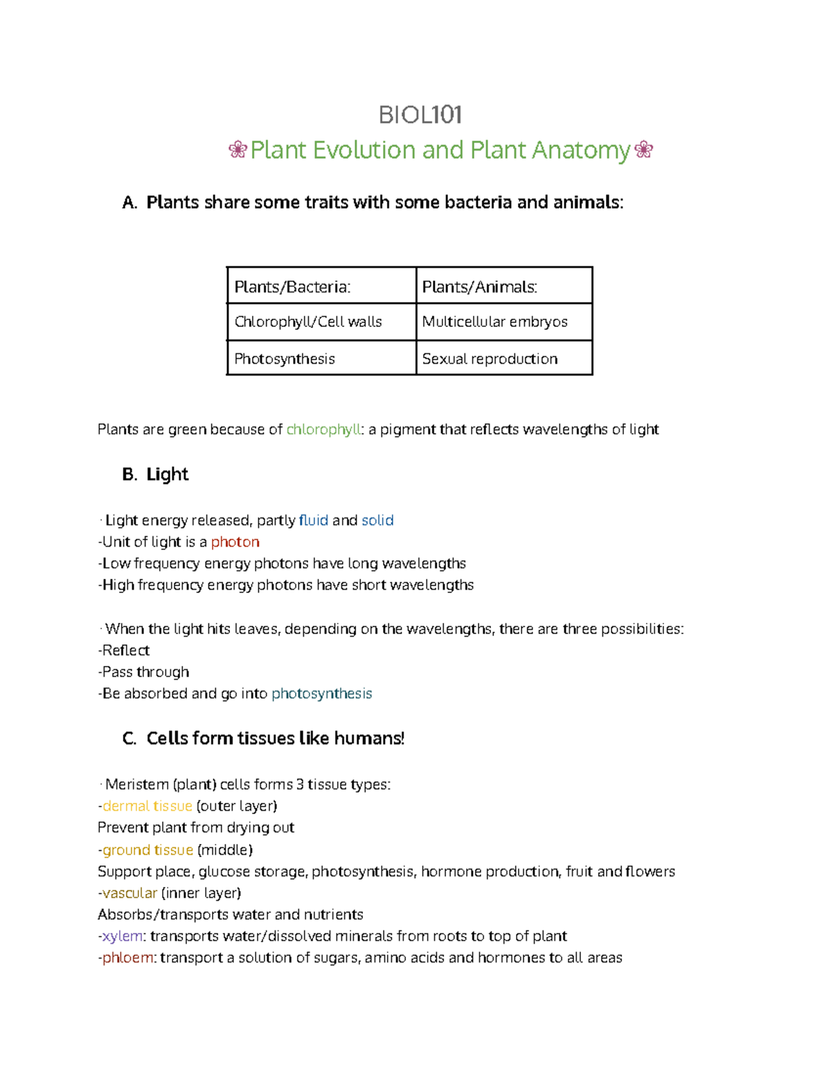 What Is The Difference Between Plant Morphology And Plant Anatomy