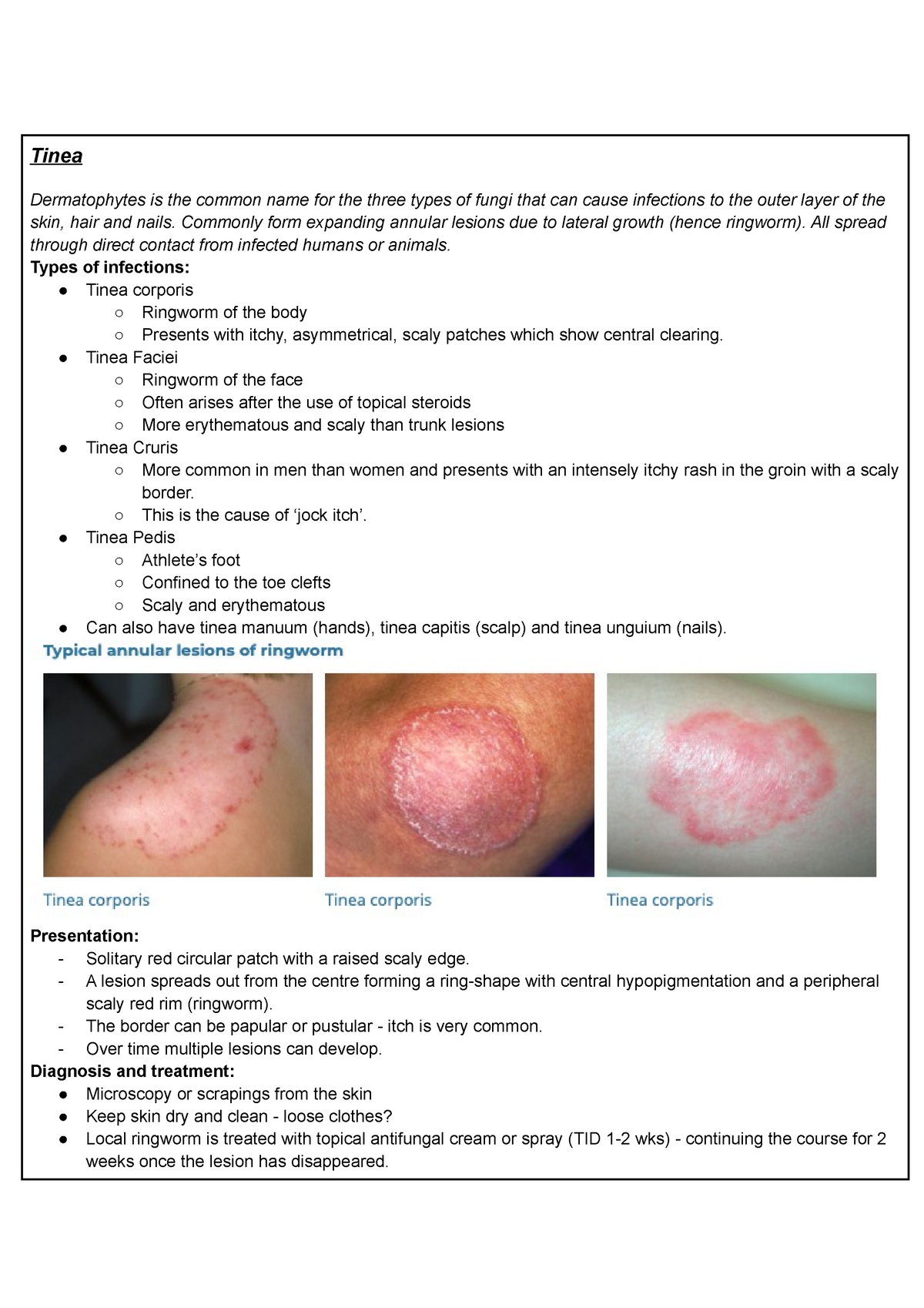Fungal Skin Infections - Tinea Dermatophytes is the common name for the  three types of fungi that - Studocu