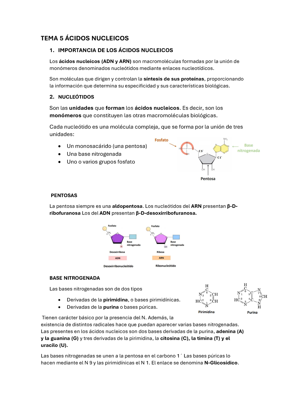 Tema Cidos Nucleicos Tema Cidos Nucleicos Importancia De Los Cidos Nucleicos Los