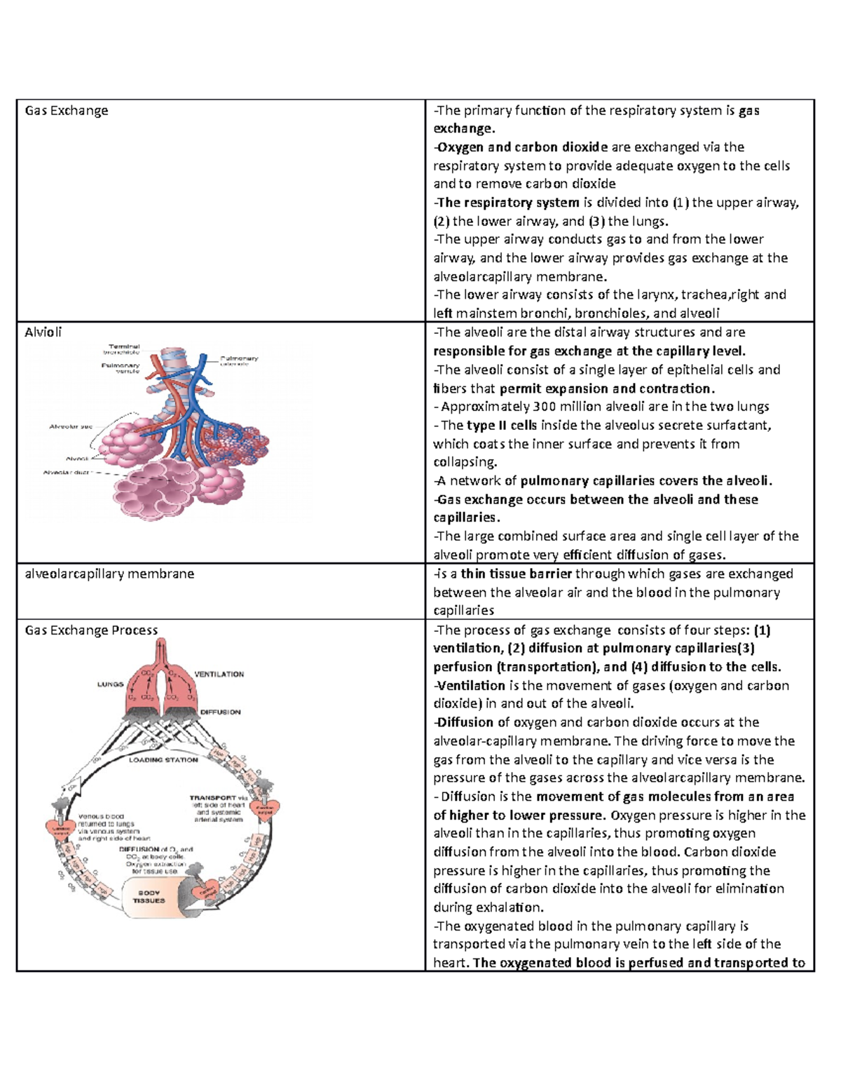 Impaired gas exchange, ARF and ARDS notes Gas Exchange The primary