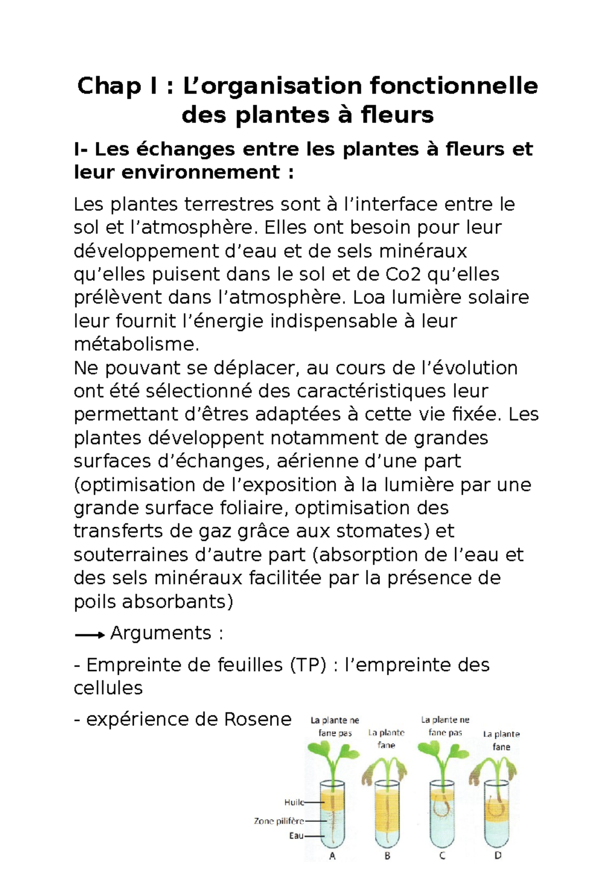 Organisation Fonctionnelle Des Plantes à Fleur - Chap I : L ...