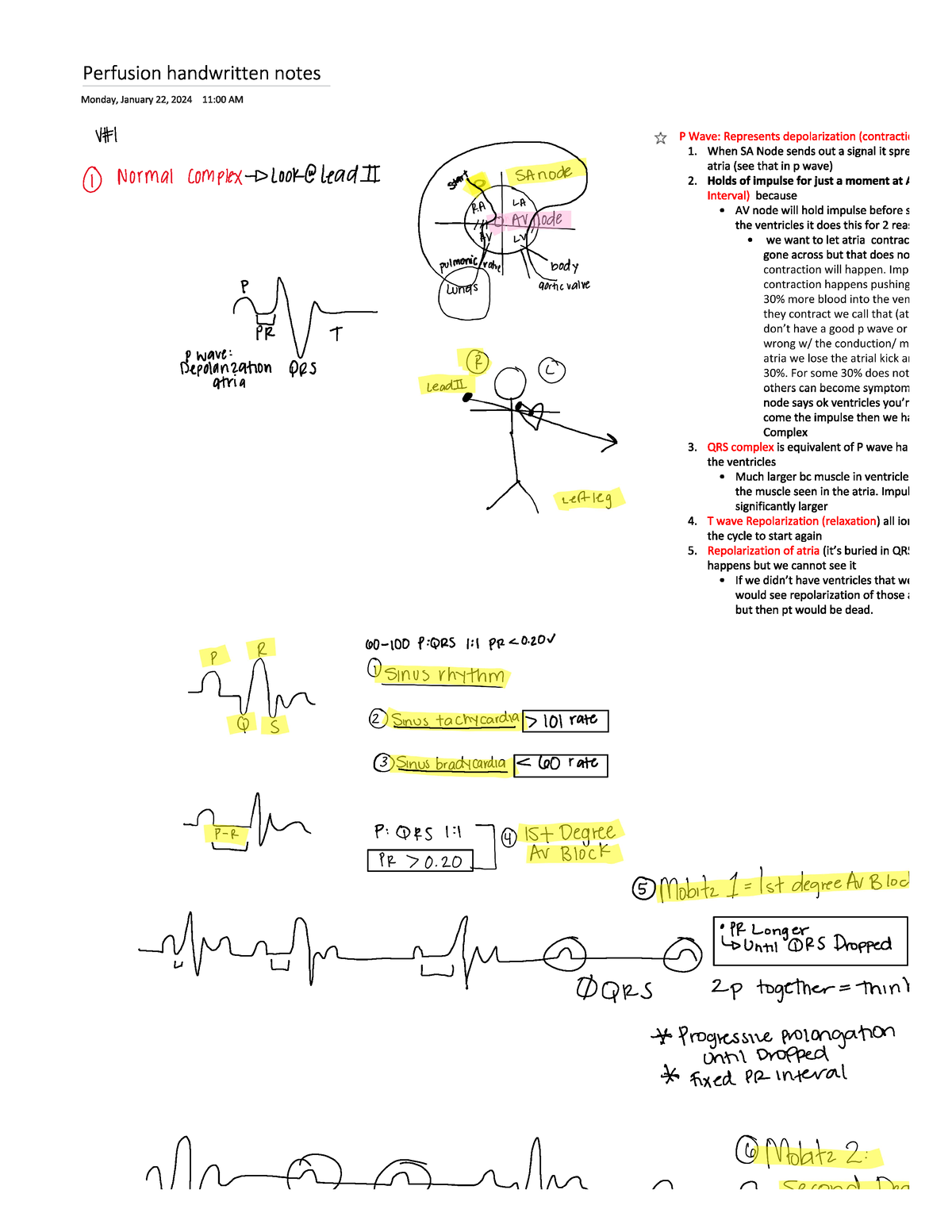 2024 Notes N A BIOL 100 Studocu   Thumb 1200 1553 