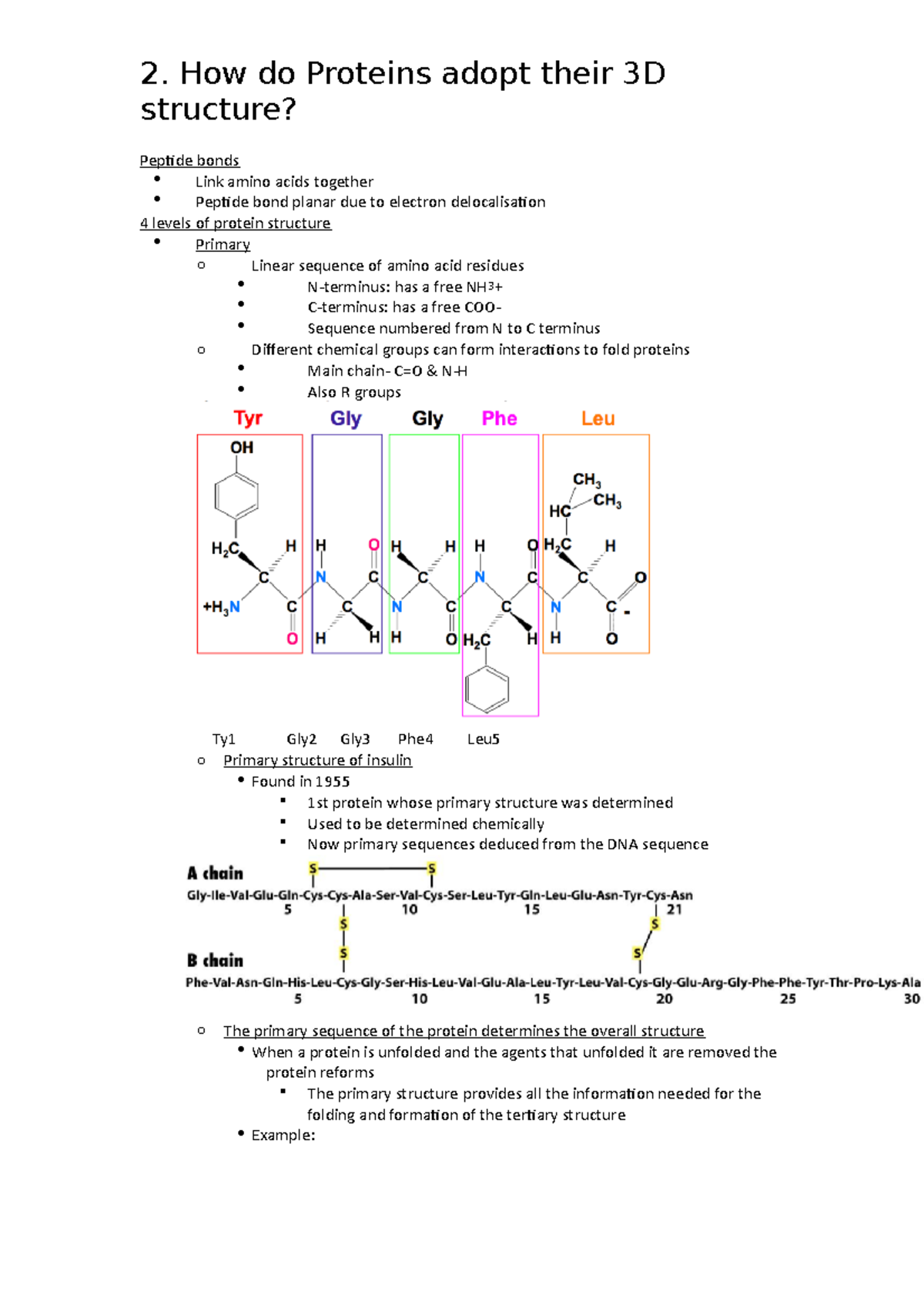 2. How do Proteins adopt their 3D structure - 2. How do Proteins adopt ...