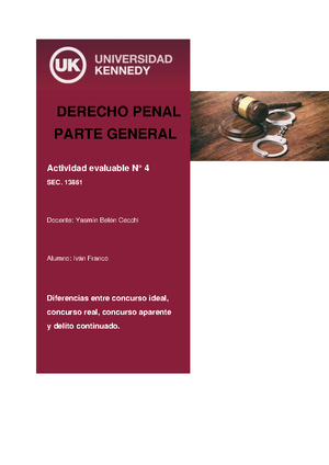 Actividad Evaluable NRO 3 Derecho Penal - ACTIVIDAD EVALUABLE NRO 3 ...